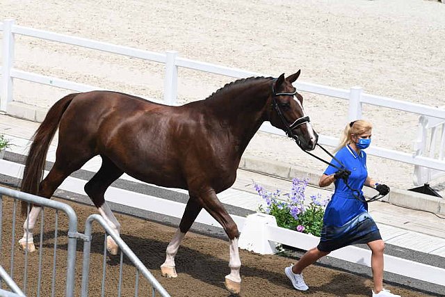 OLY-2020-DRESSAGE-JOG-7-24-21-0931-127-DINA ELLERMANN-DONNA ANNA-EST-DDEROSAPHOTO