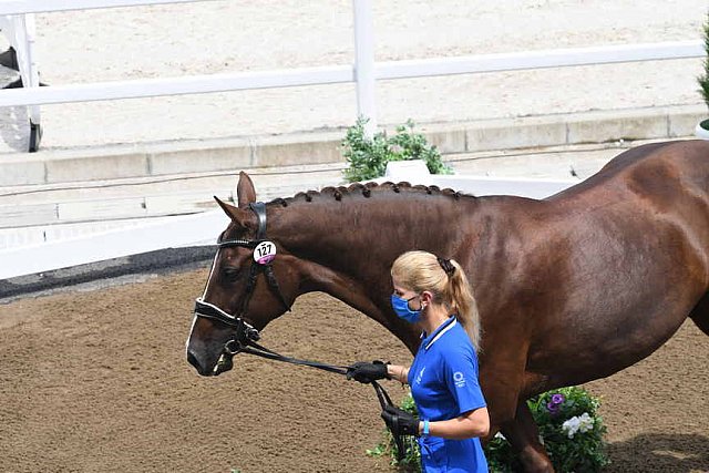 OLY-2020-DRESSAGE-JOG-7-24-21-0933-127-DINA ELLERMANN-DONNA ANNA-EST-DDEROSAPHOTO