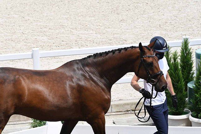 OLY-2020-DRESSAGE-JOG-7-24-21-0941-128-HENRI RUOSTE-KONTESTRO DB-FIN-DDEROSAPHOTO