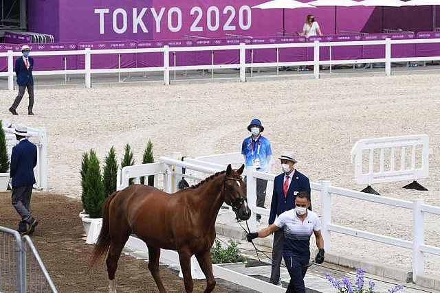 OLY-2020-DRESSAGE-JOG-7-24-21-0944-129-ALEXANDRA AYACHE-ZQ WHAT-FRA-DDEROSAPHOTO