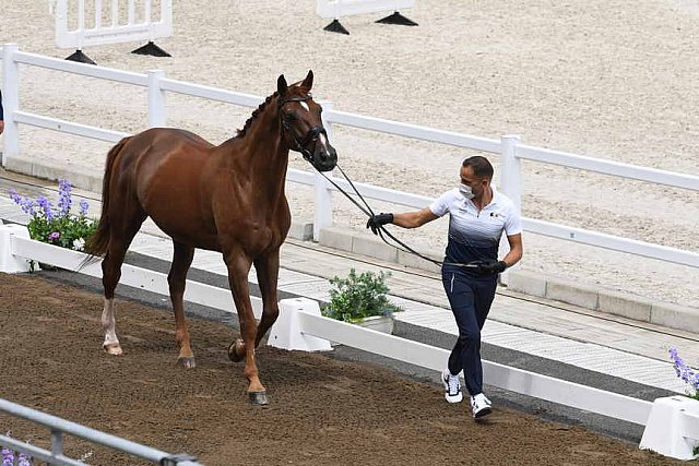 OLY-2020-DRESSAGE-JOG-7-24-21-0945-129-ALEXANDRA AYACHE-ZQ WHAT-FRA-DDEROSAPHOTO