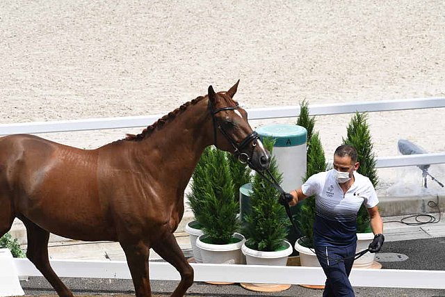 OLY-2020-DRESSAGE-JOG-7-24-21-0949-129-ALEXANDRA AYACHE-ZQ WHAT-FRA-DDEROSAPHOTO