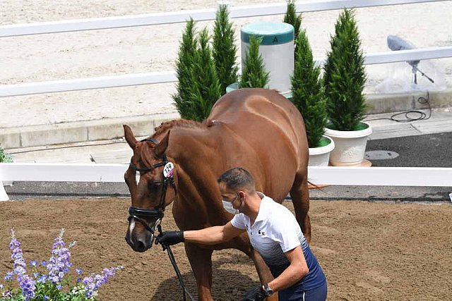 OLY-2020-DRESSAGE-JOG-7-24-21-0950-129-ALEXANDRA AYACHE-ZQ WHAT-FRA-DDEROSAPHOTO