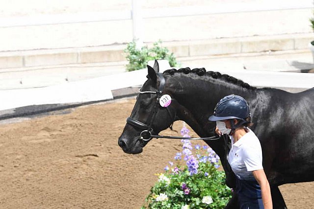 OLY-2020-DRESSAGE-JOG-7-24-21-0968-131-MAXINE COLLARD-CUPIDO PB-FRA-DDEROSAPHOTO