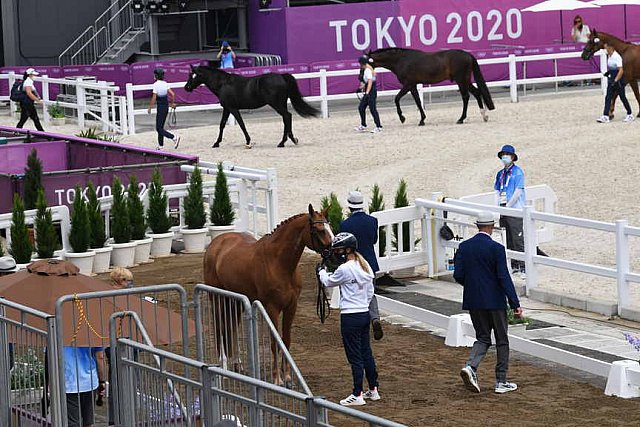 OLY-2020-DRESSAGE-JOG-7-24-21-0986-133-CHARLOTTE DUJARDIN-GIO-GBR-DDEROSAPHOTO