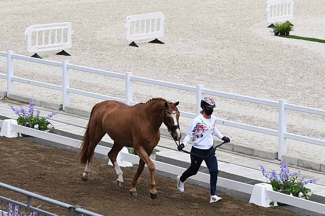 OLY-2020-DRESSAGE-JOG-7-24-21-0990-133-CHARLOTTE DUJARDIN-GIO-GBR-DDEROSAPHOTO