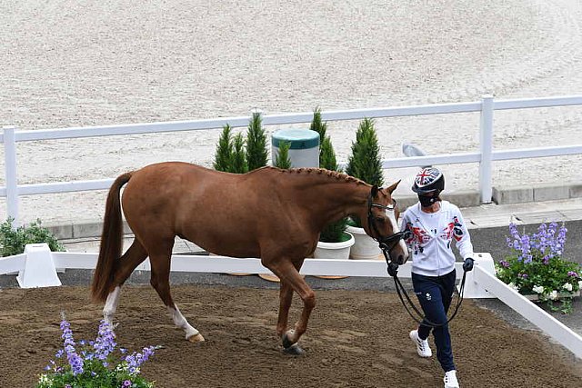 OLY-2020-DRESSAGE-JOG-7-24-21-0993-133-CHARLOTTE DUJARDIN-GIO-GBR-DDEROSAPHOTO