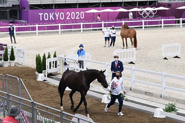 OLY-2020-DRESSAGE-JOG-7-24-21-0998-135-CARL HESTER-EN VOGUE-GBR-DDEROSAPHOTO