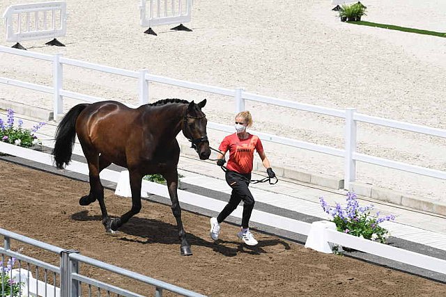 OLY-2020-DRESSAGE-JOG-7-24-21-1034-139-WERNDL-VON BREDOW-TSF DALERA-GER-DDEROSAPHOTO