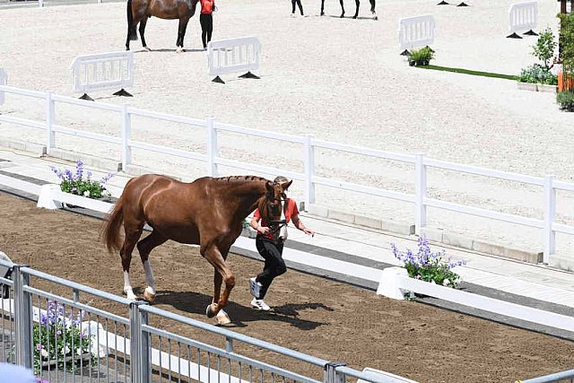 OLY-2020-DRESSAGE-JOG-7-24-21-1051-140-ISABELL WERTH-BELLAROSE 2-GER-DDEROSAPHOTO