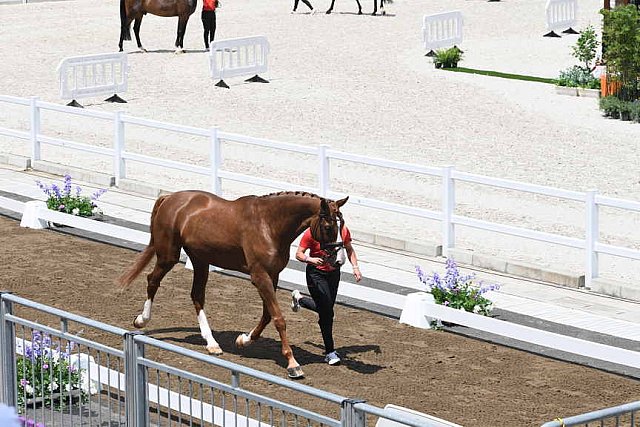 OLY-2020-DRESSAGE-JOG-7-24-21-1052-140-ISABELL WERTH-BELLAROSE 2-GER-DDEROSAPHOTO