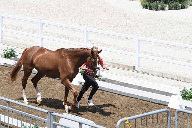 OLY-2020-DRESSAGE-JOG-7-24-21-1053-140-ISABELL WERTH-BELLAROSE 2-GER-DDEROSAPHOTO