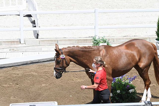 OLY-2020-DRESSAGE-JOG-7-24-21-1058-140-ISABELL WERTH-BELLAROSE 2-GER-DDEROSAPHOTO