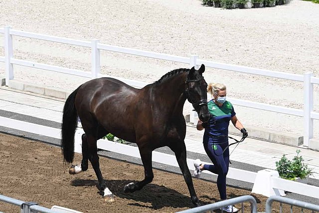 OLY-2020-DRESSAGE-JOG-7-24-21-1063-141-HEIKE HOLSTEIN-SAMBUCA-IRL-DDEROSAPHOTO