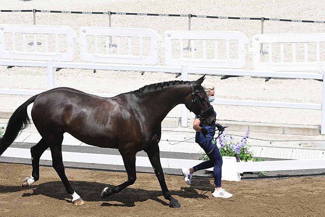 OLY-2020-DRESSAGE-JOG-7-24-21-1064-141-HEIKE HOLSTEIN-SAMBUCA-IRL-DDEROSAPHOTO