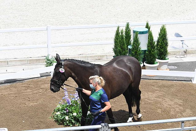 OLY-2020-DRESSAGE-JOG-7-24-21-1068-141-HEIKE HOLSTEIN-SAMBUCA-IRL-DDEROSAPHOTO