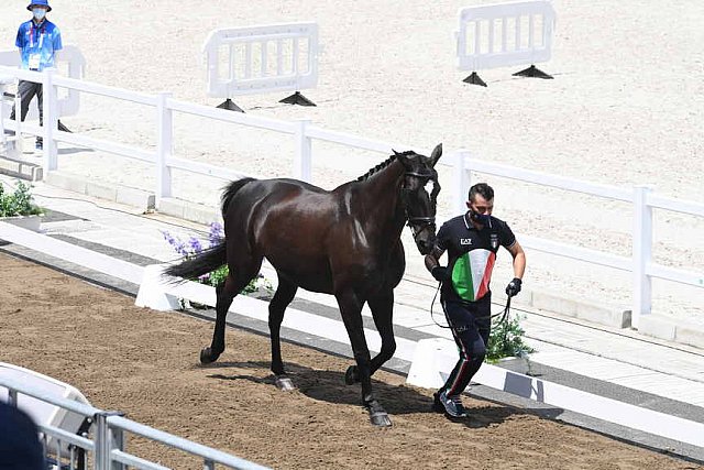 OLY-2020-DRESSAGE-JOG-7-24-21-1072-142-FRANCESCO ZAZA-WISPERING ROMANCE-ITA-DDEROSAPHOTO