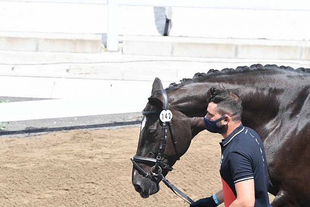 OLY-2020-DRESSAGE-JOG-7-24-21-1079-142-FRANCESCO ZAZA-WISPERING ROMANCE-ITA-DDEROSAPHOTO