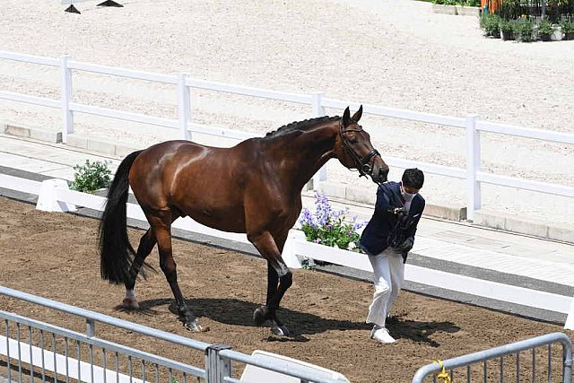 OLY-2020-DRESSAGE-JOG-7-24-21-1081-143-SHINGO HAYASHI-SCOLARI 4-JPN-DDEROSAPHOTO