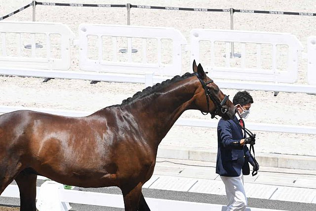 OLY-2020-DRESSAGE-JOG-7-24-21-1093-DDEROSAPHOTO