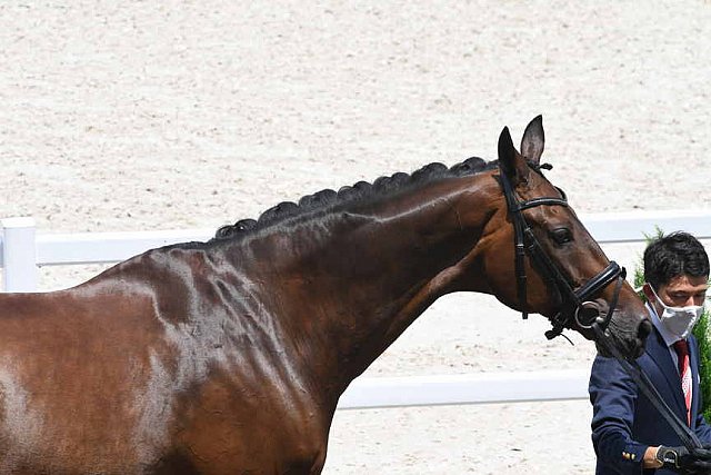 OLY-2020-DRESSAGE-JOG-7-24-21-1094-DDEROSAPHOTO