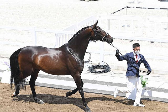 OLY-2020-DRESSAGE-JOG-7-24-21-1103-144-HIROYUKI KITAHARA-HURACAN 10-JPN-DDEROSAPHOTO