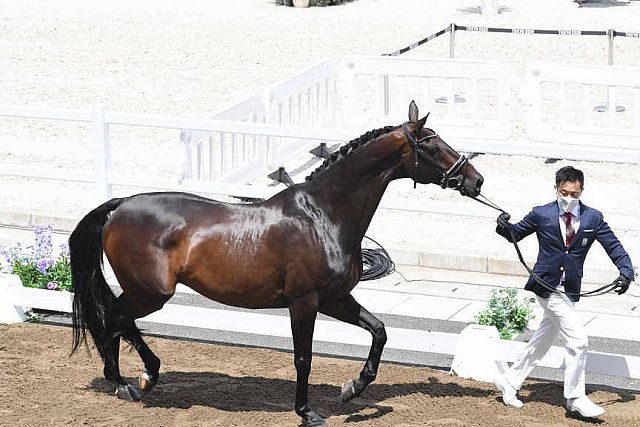 OLY-2020-DRESSAGE-JOG-7-24-21-1104-144-HIROYUKI KITAHARA-HURACAN 10-JPN-DDEROSAPHOTO