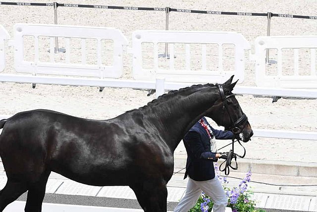 OLY-2020-DRESSAGE-JOG-7-24-21-1122-145-MASANAO TAKAHASHI-RUBICON-JPN-DDEROSAPHOTO