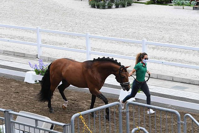 OLY-2020-DRESSAGE-JOG-7-24-21-1170-150-QUIRARTE DE VALLE-BEDUINO LAM-MEX-DDEROSAPHOTO