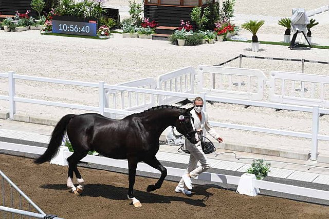 OLY-2020-DRESSAGE-JOG-7-24-21-1194-151-EDWARD GAL-TOTAL US-NED-DDEROSAPHOTO