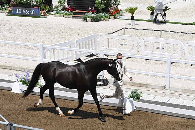 OLY-2020-DRESSAGE-JOG-7-24-21-1195-151-EDWARD GAL-TOTAL US-NED-DDEROSAPHOTO