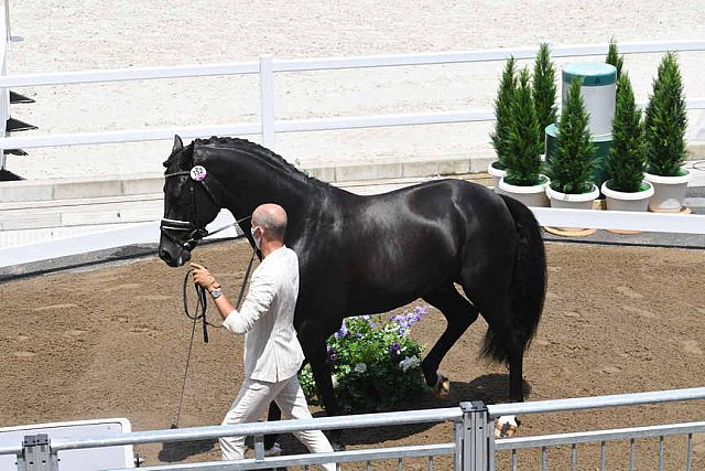 OLY-2020-DRESSAGE-JOG-7-24-21-1208-152-HP MINDERHOUD-DREAM BOY-NED-DDEROSAPHOTO