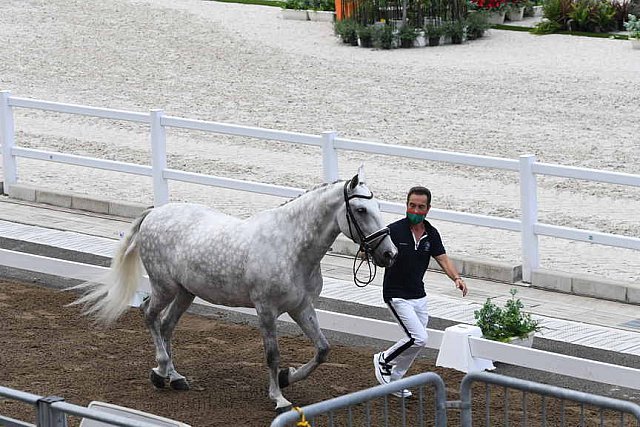 OLY-2020-DRESSAGE-JOG-7-24-21-1250-155-CARLOS PINTO-SULTAO MENEZES-POR-DDEROSAPHOTO