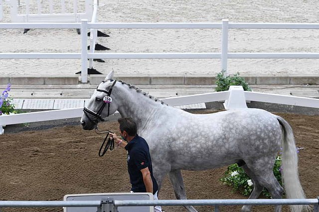 OLY-2020-DRESSAGE-JOG-7-24-21-1252-155-CARLOS PINTO-SULTAO MENEZES-POR-DDEROSAPHOTO