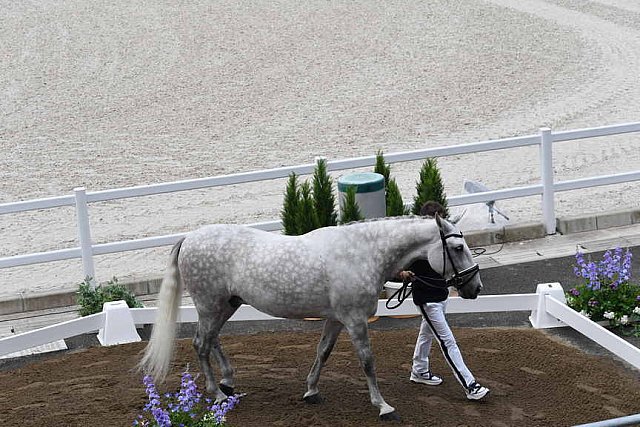 OLY-2020-DRESSAGE-JOG-7-24-21-1260-155-CARLOS PINTO-SULTAO MENEZES-POR-DDEROSAPHOTO