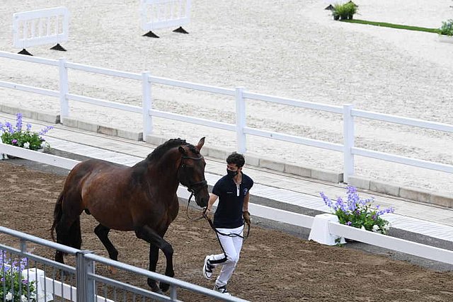 OLY-2020-DRESSAGE-JOG-7-24-21-1269-157-JM TORRAO-EQUADOR-POR-DDEROSAPHOTO