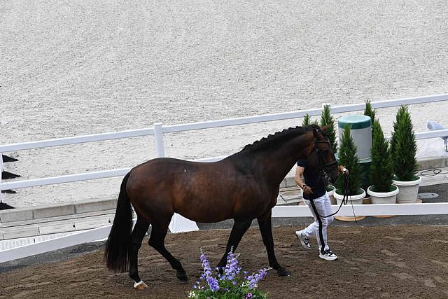 OLY-2020-DRESSAGE-JOG-7-24-21-1270-157-JM TORRAO-EQUADOR-POR-DDEROSAPHOTO