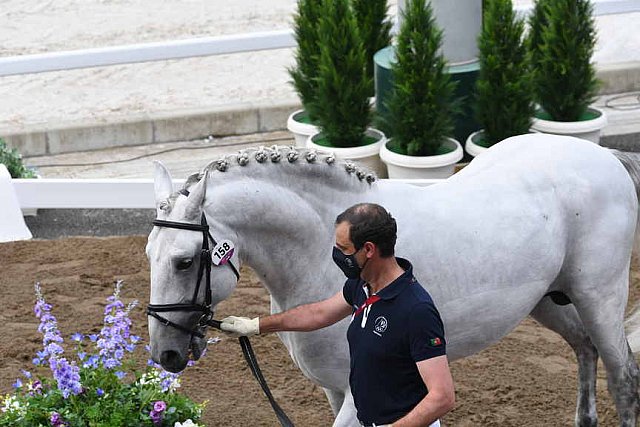 OLY-2020-DRESSAGE-JOG-7-24-21-1281-158-RODRIGO TORRES-FOGOSO-POR-DDEROSAPHOTO