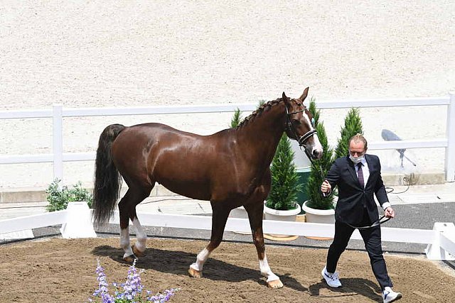 OLY-2020-DRESSAGE-JOG-7-24-21-1327-162-MARIA SHUVALOVA-FAMOUS CROSS-ROC-DDEROSAPHOTO