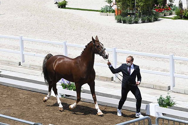 OLY-2020-DRESSAGE-JOG-7-24-21-1333-162-MARIA SHUVALOVA-FAMOUS CROSS-ROC-DDEROSAPHOTO