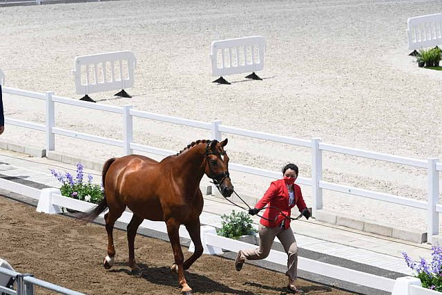 OLY-2020-DRESSAGE-JOG-7-24-21-1340-164-CAROLINE CHEW-TRIBIANI-SGP-DDEROSAPHOTO