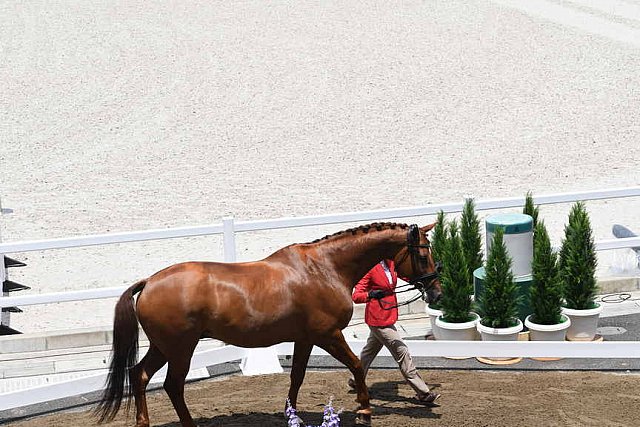 OLY-2020-DRESSAGE-JOG-7-24-21-1343-164-CAROLINE CHEW-TRIBIANI-SGP-DDEROSAPHOTO