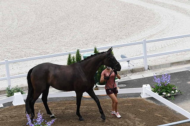 OLY-2020-DRESSAGE-JOG-7-24-21-1356-165-ESTELLE WETTSTEIN-WEST SIDE STORY OLD-SUI-DDEROSAPHOTO