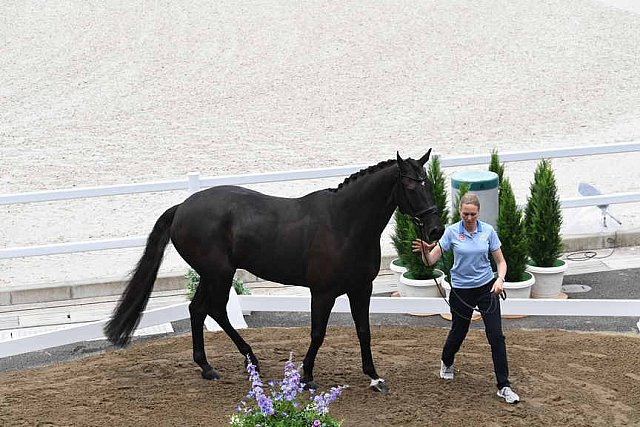 OLY-2020-DRESSAGE-JOG-7-24-21-1376-168-ANTONIA RAMEL-BROTHER DE JEU-SWE-DDEROSAPHOTO