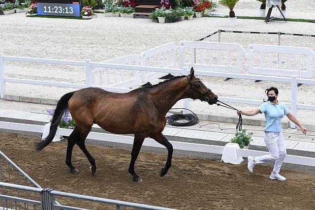 OLY-2020-DRESSAGE-JOG-7-24-21-1404-170-INNA LUGUTENKOVA-FLERARO-UKR-DDEROSAPHOTO