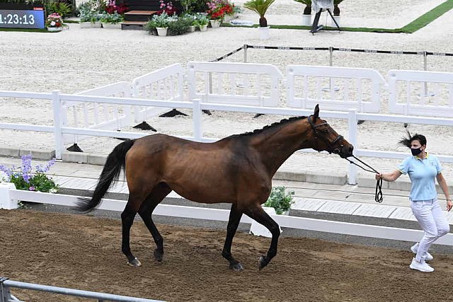 OLY-2020-DRESSAGE-JOG-7-24-21-1406-170-INNA LUGUTENKOVA-FLERARO-UKR-DDEROSAPHOTO