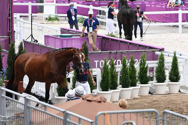 OLY-2020-DRESSAGE-JOG-7-24-21-1432-172-STEFFEN PETERS-SUPPERKASPER-USA-DDEROSAPHOTO