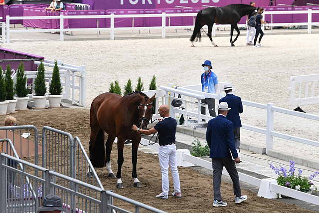 OLY-2020-DRESSAGE-JOG-7-24-21-1439-172-STEFFEN PETERS-SUPPERKASPER-USA-DDEROSAPHOTO