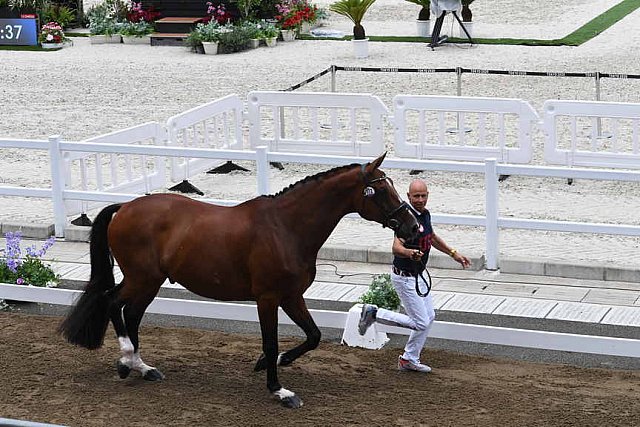 OLY-2020-DRESSAGE-JOG-7-24-21-1452-172-STEFFEN PETERS-SUPPERKASPER-USA-DDEROSAPHOTO