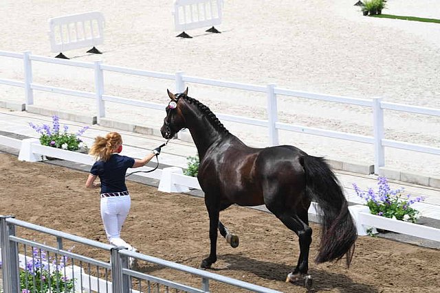 OLY-2020-DRESSAGE-JOG-7-24-21-1495-173-SABINE SCHUT-KERY-SANCEO-USA-DDEROSAPHOTO